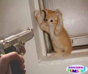 haut les mains ducon 